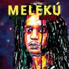 Meleku - What to Make of This World - Single